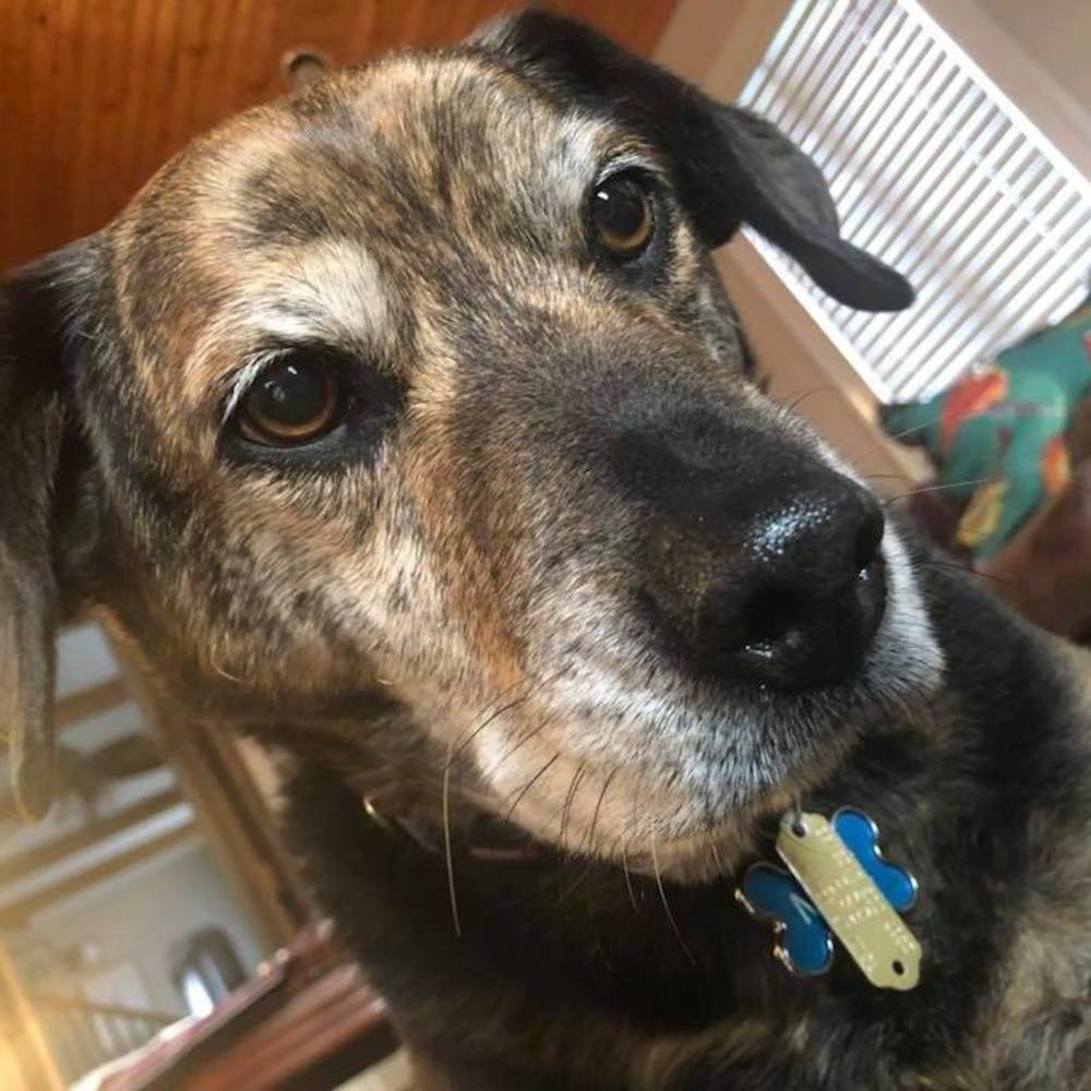 Meet your Posher, Kristin